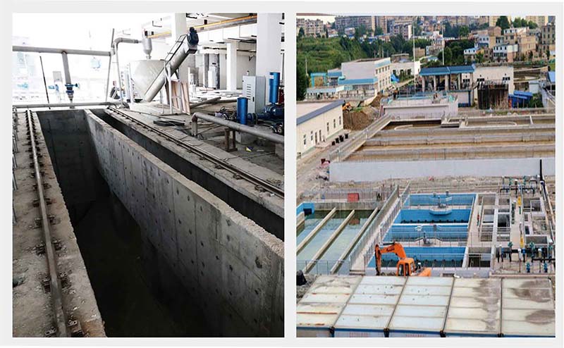 1662446912251810.jpg 500.jpg